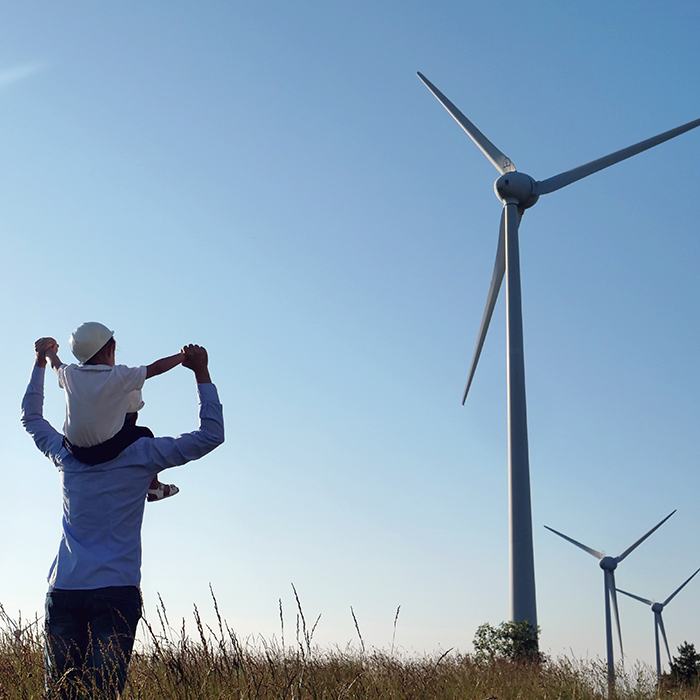 Energie und Verhalten